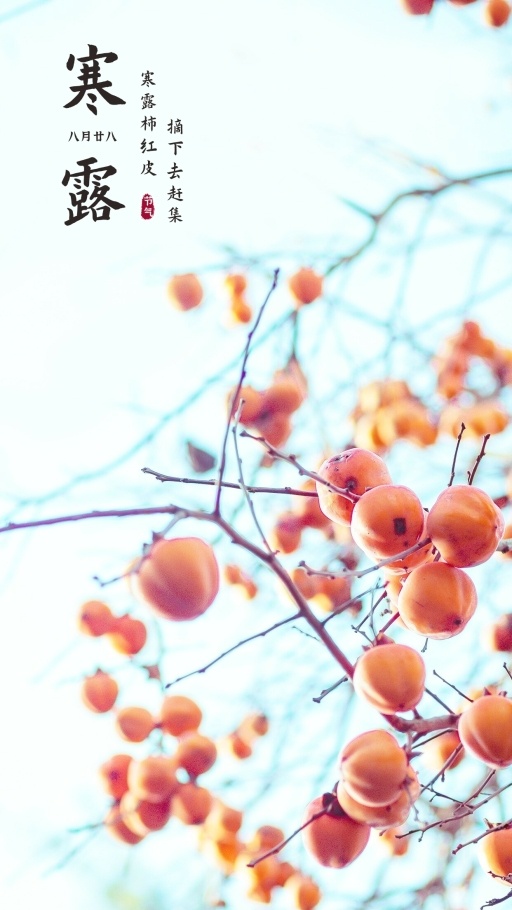 设计稿20240925模板