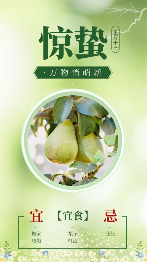 设计稿20230227模板