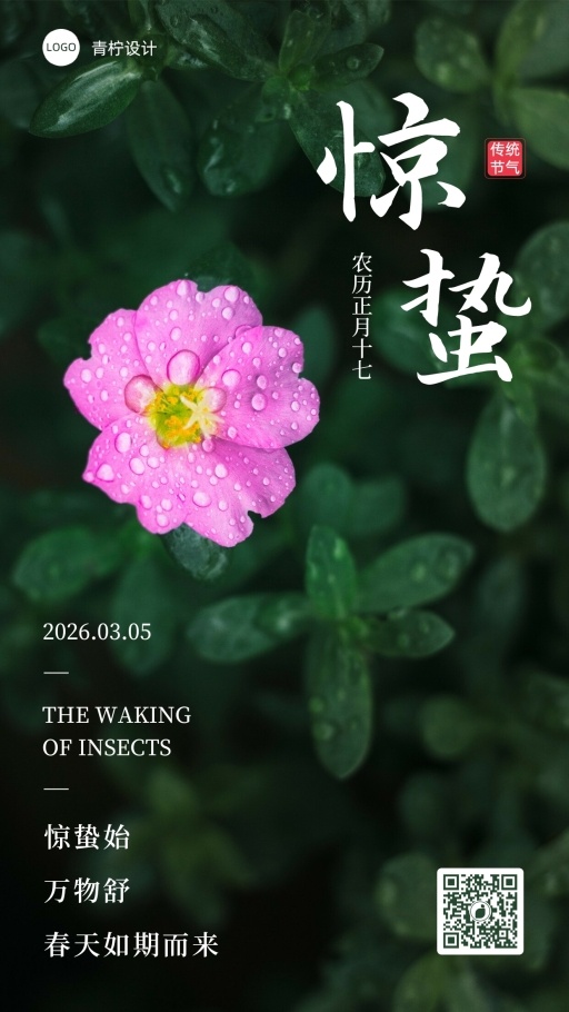 设计稿20260228模板