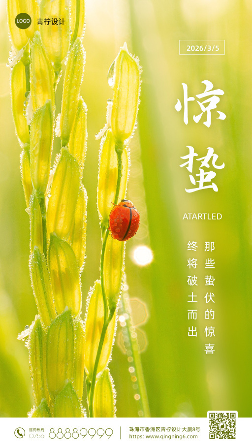 设计稿20250211模板