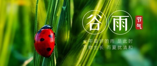 小清新谷雨节日海报模板