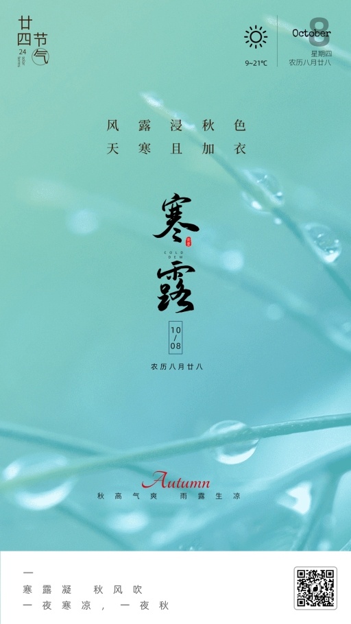 设计稿20260605模板