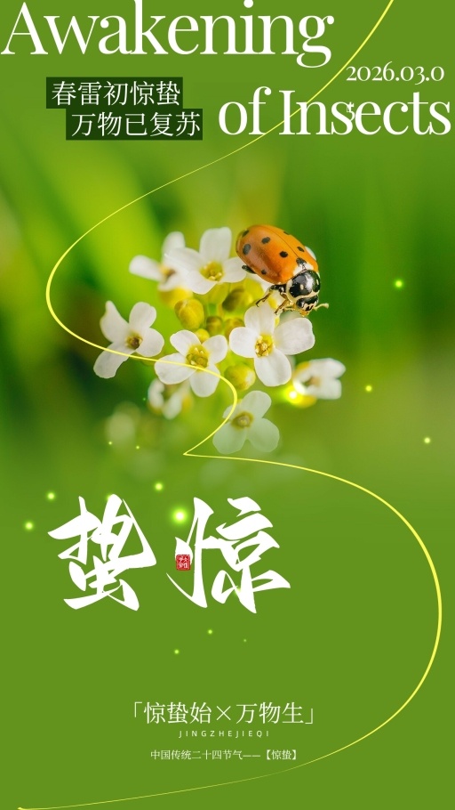 设计稿20260228模板