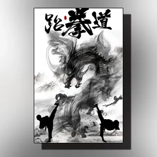 水墨武术跆拳道散打搏击招生培训宣传推广