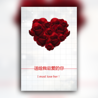 表白求婚-送给我最爱的你