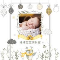 唯美宝宝满月宴邀请函百日宴邀请函周岁邀请函