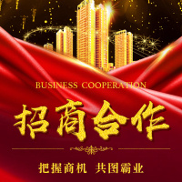 震撼高端黑金招商手册