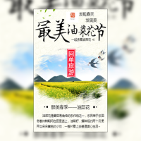 花海油菜花节踏青季旅游赏花旅行通用简约模板