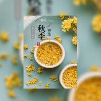 休闲养生会所宣传模版